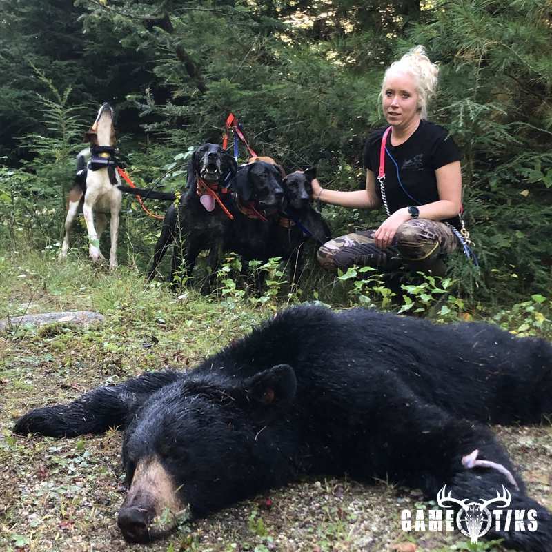 bear harvest by Briar Run