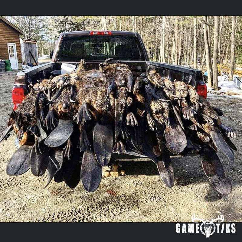 miscellaneous harvest by Marsh River Outfitters