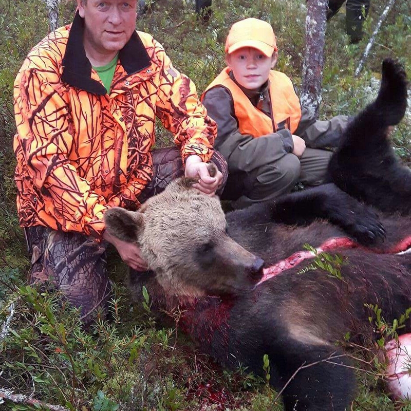 bear harvest by Isto Ojala