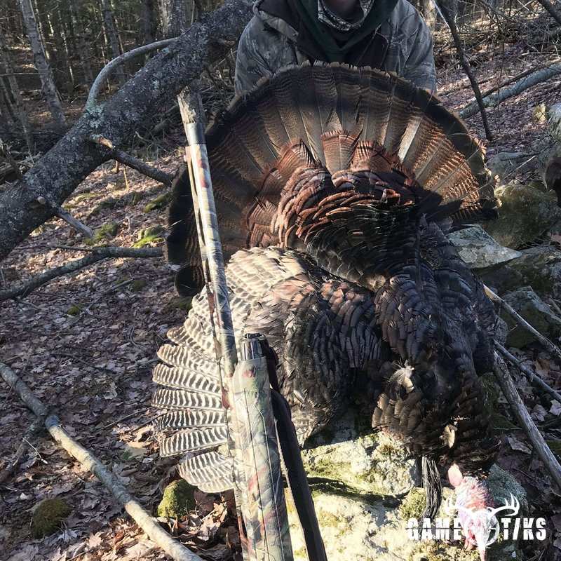 turkey harvest by Darren Harriman
