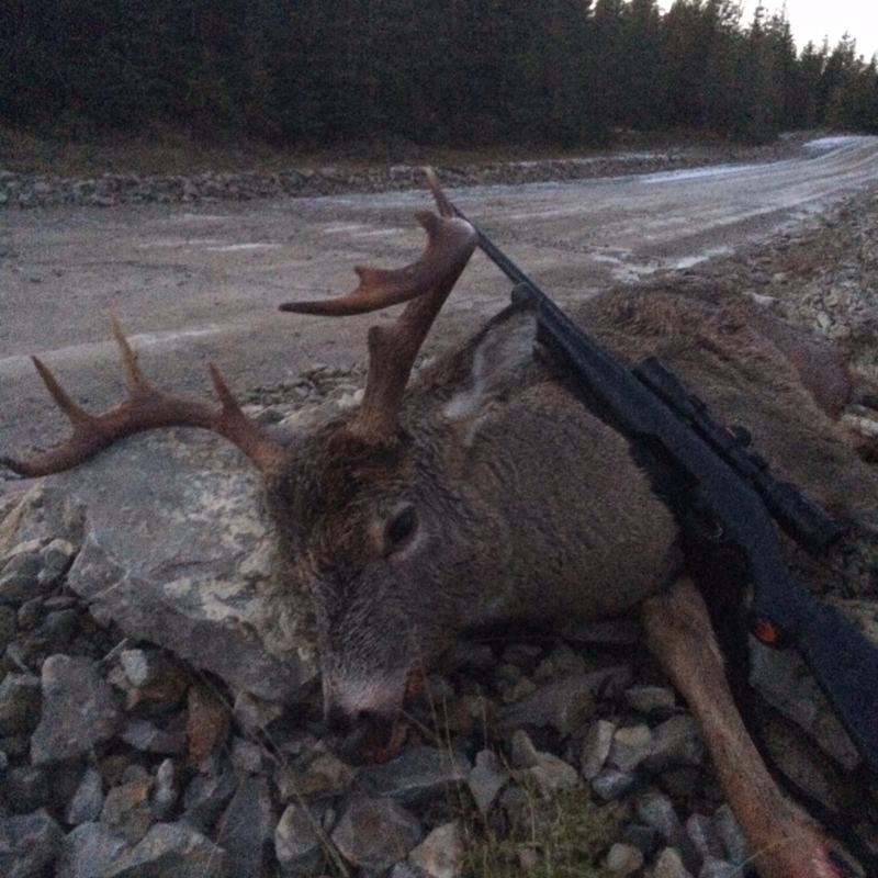 deer harvest by John Wentworth