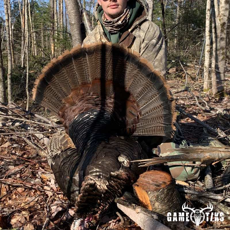 turkey harvest by Darren Harriman