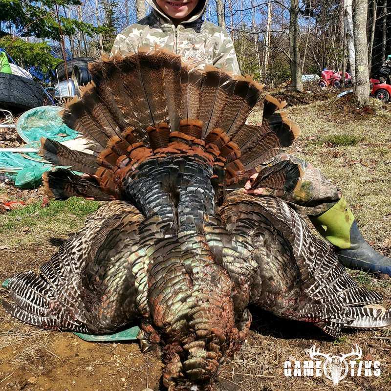 turkey harvest by Alex larrabee