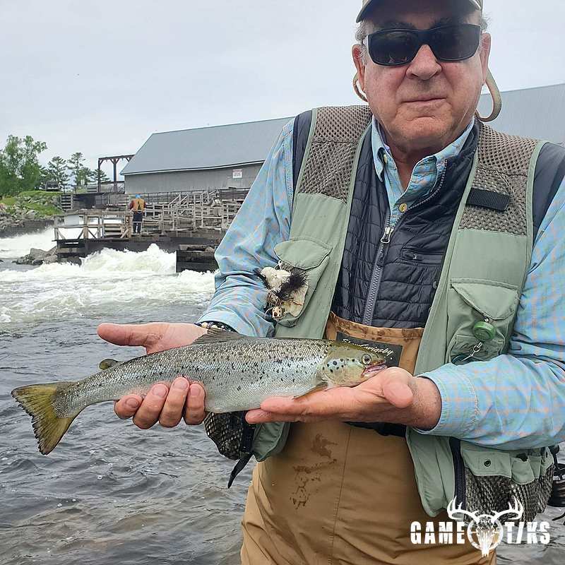fish harvest by Reddog Guide Service