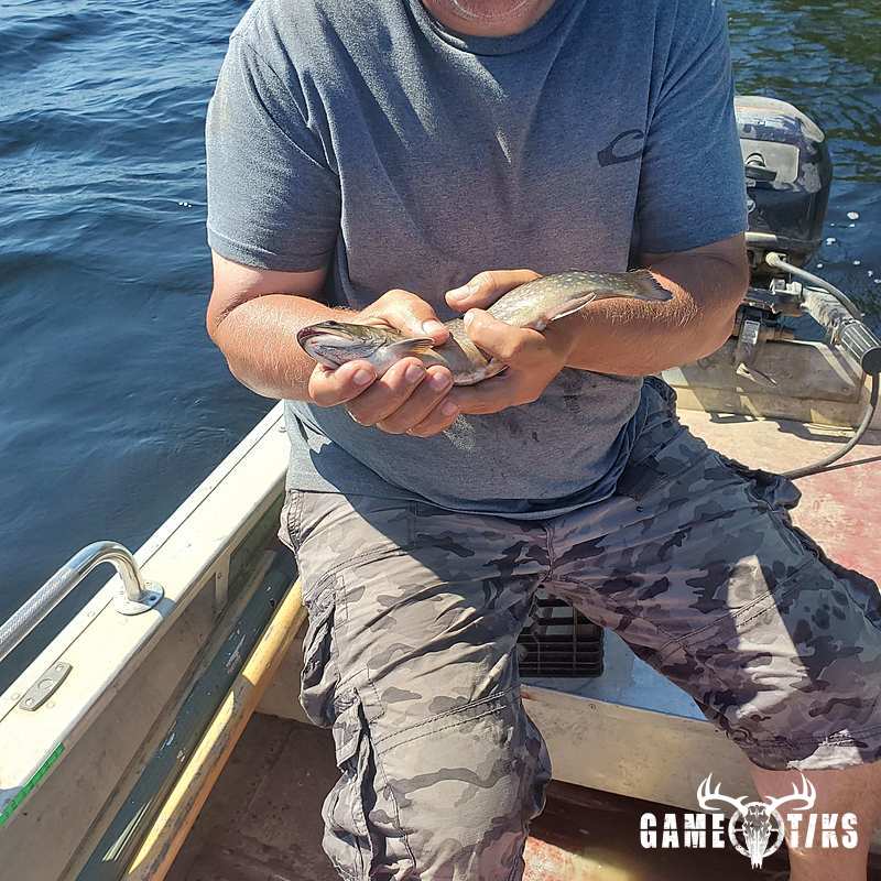 fish harvest by Reddog Guide Service
