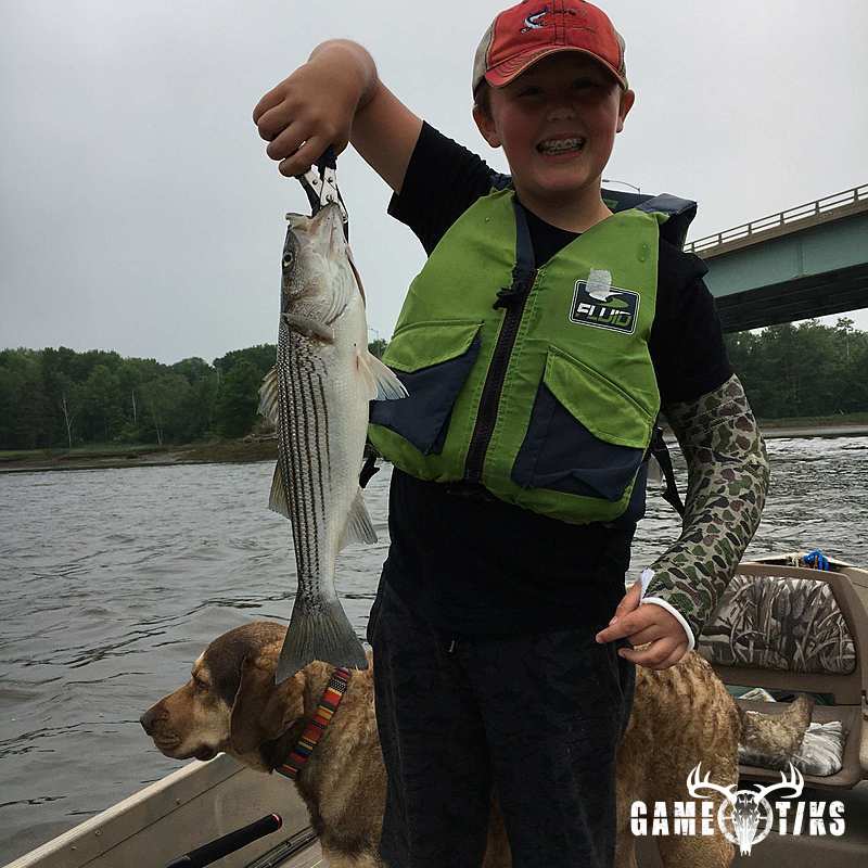 fish harvest by Cooper Bires