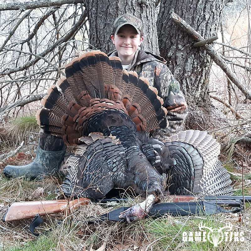 turkey harvest by Maine Experience Guide Service
