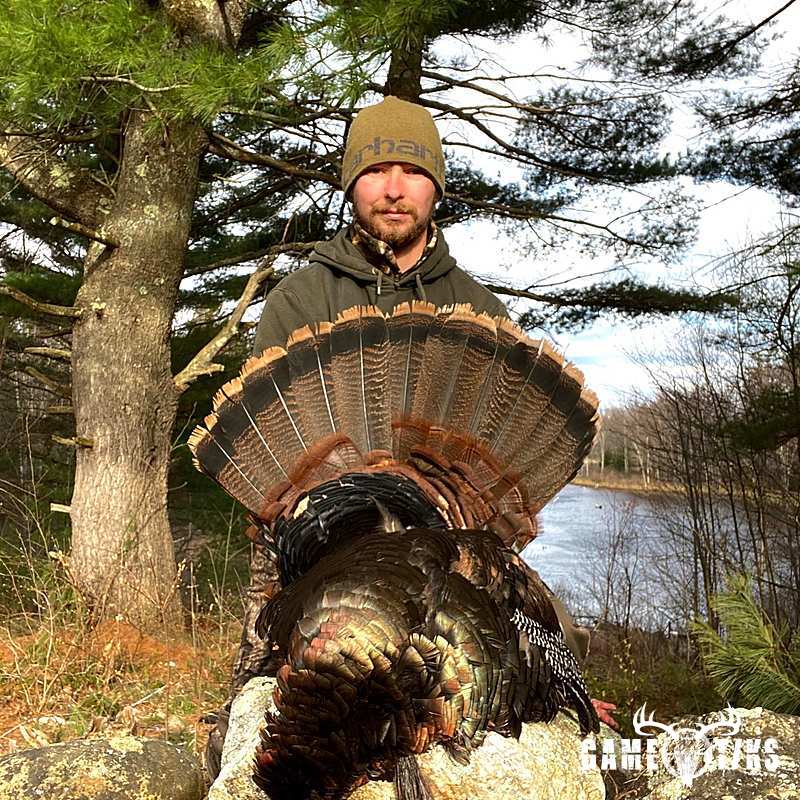 turkey harvest by Maine Experience Guide Service