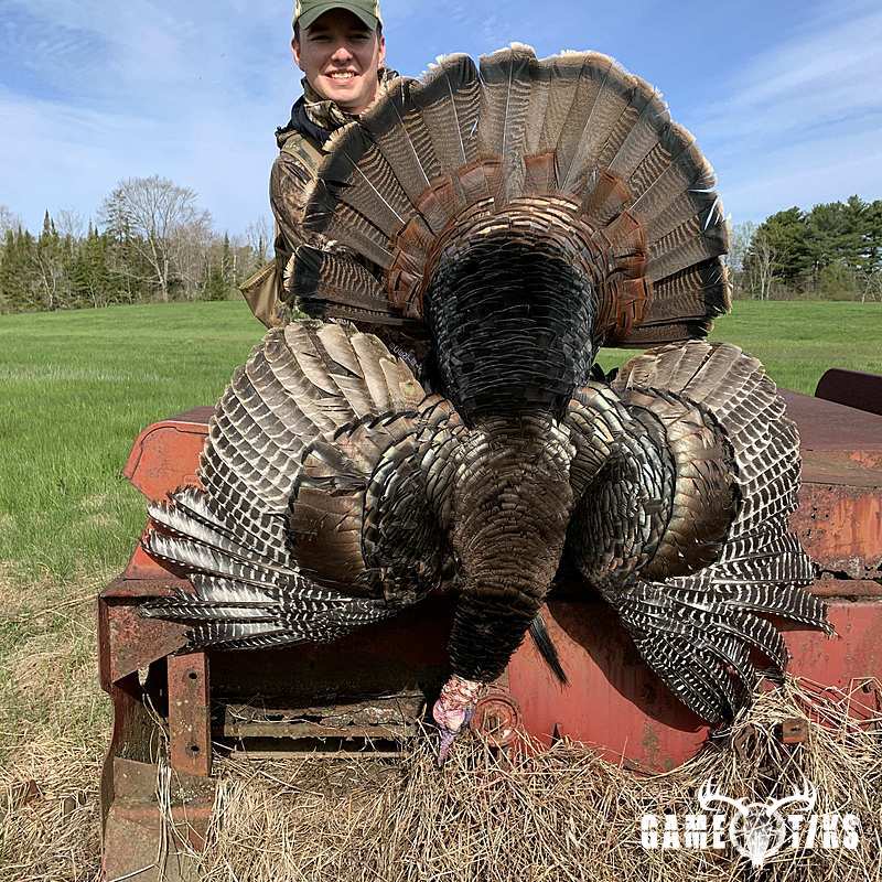 turkey harvest by Maine Experience Guide Service