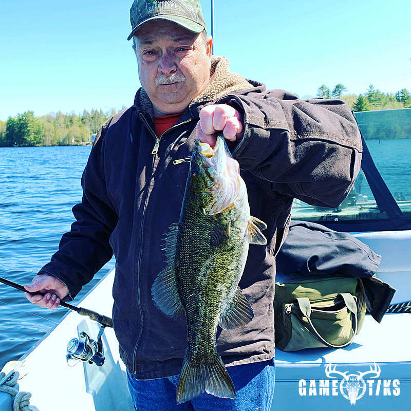 fish harvest by Maine Experience Guide Service