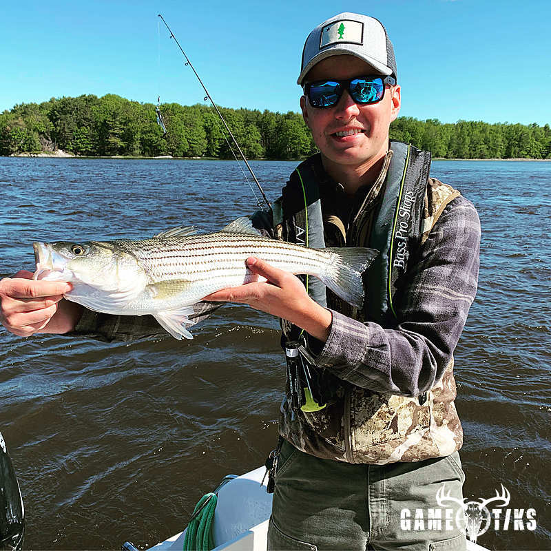fish harvest by Maine Experience Guide Service