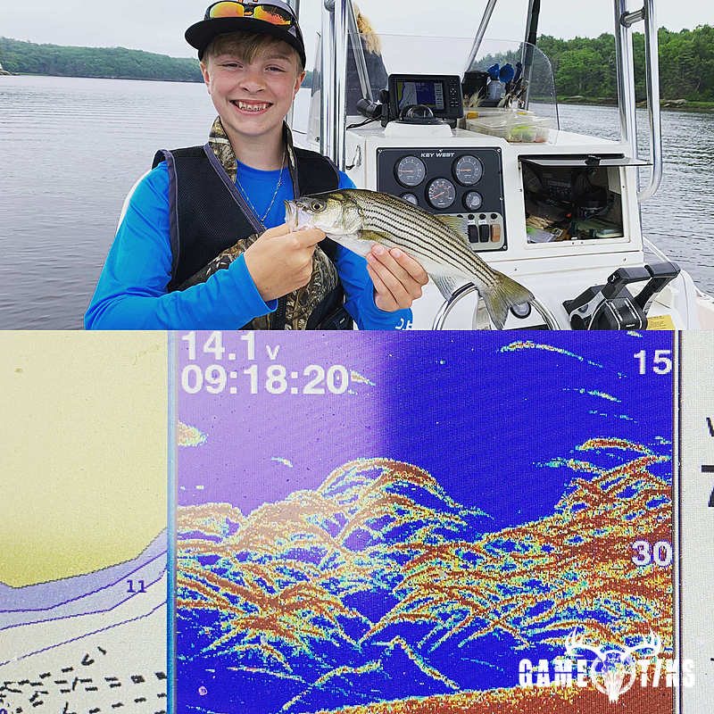 fish harvest by Maine Experience Guide Service