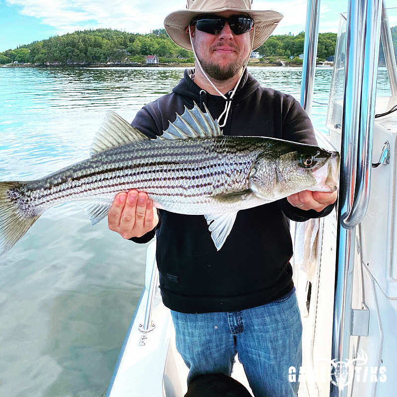 fish harvest by Maine Experience Guide Service