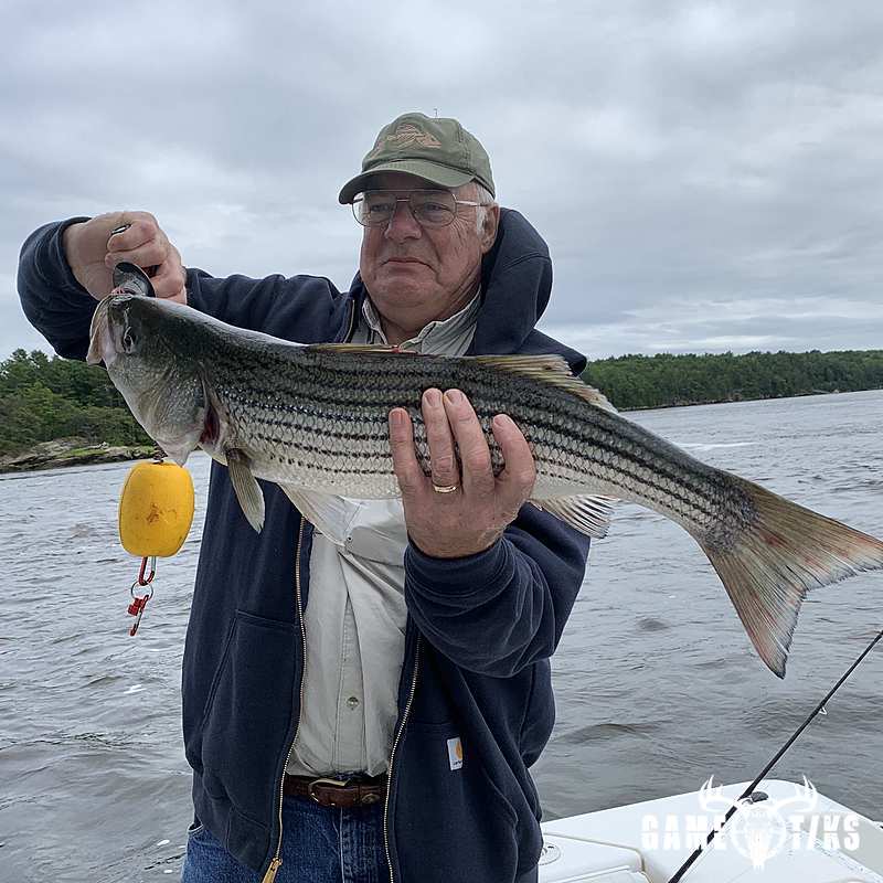 fish harvest by Maine Experience Guide Service