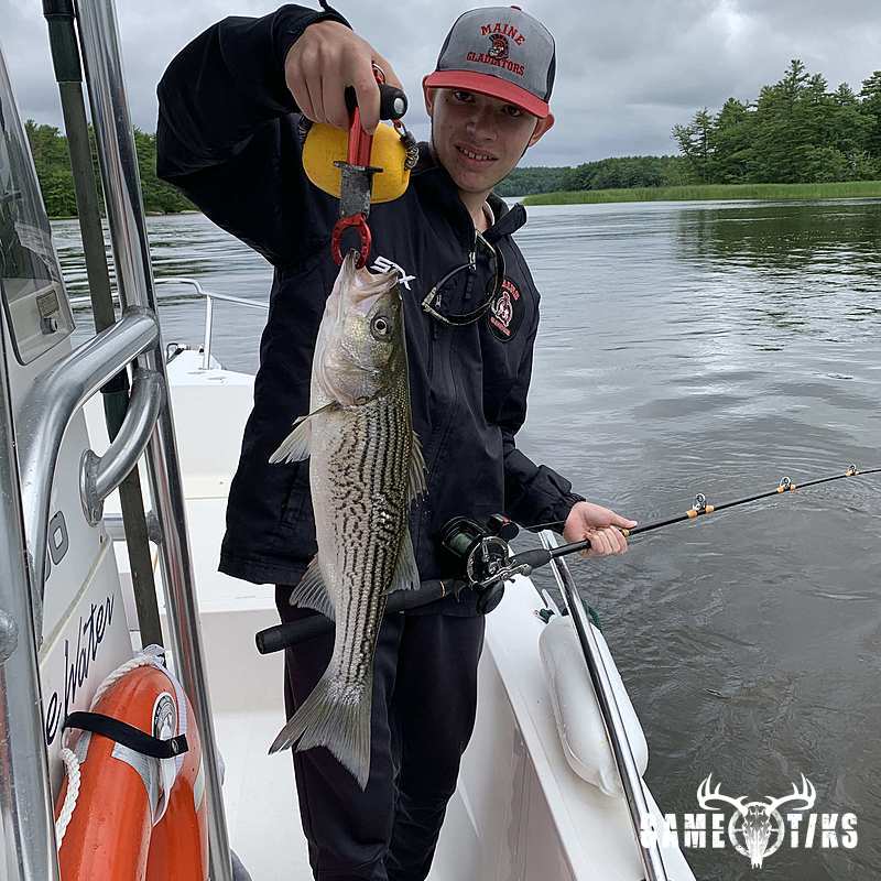 fish harvest by Maine Experience Guide Service