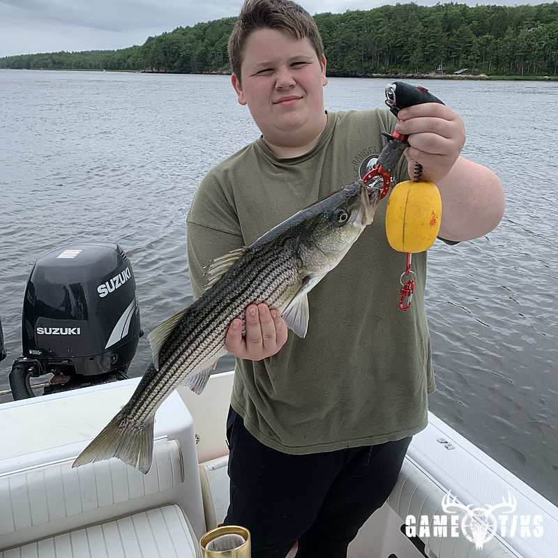 fish harvest by Maine Experience Guide Service