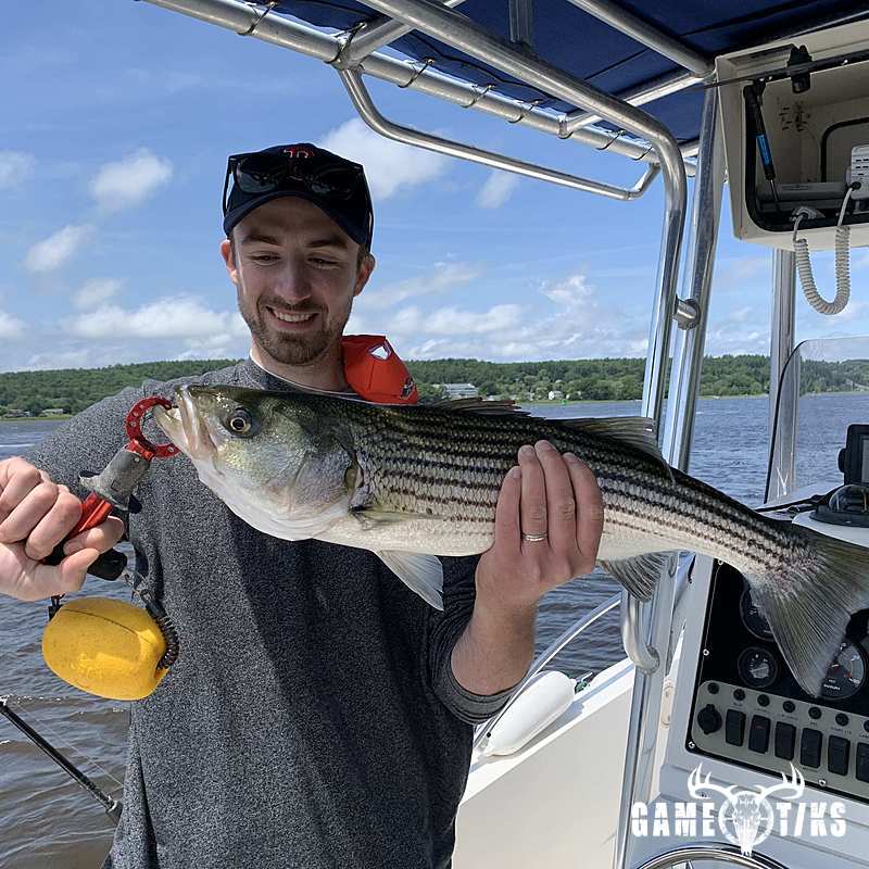 fish harvest by Maine Experience Guide Service