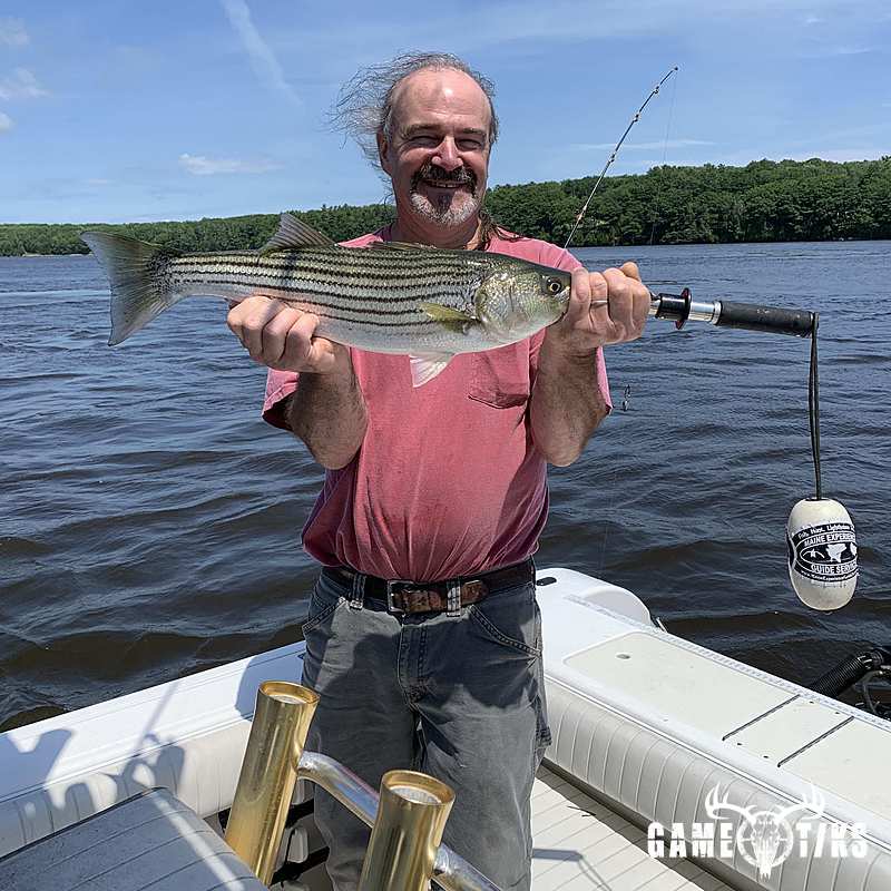 fish harvest by Maine Experience Guide Service