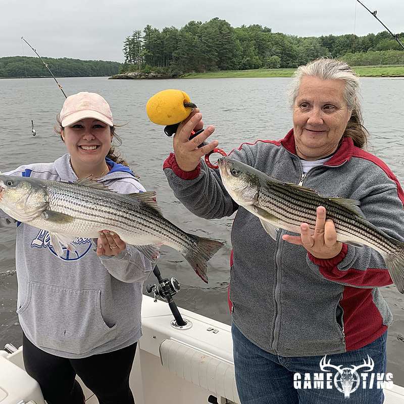fish harvest by Maine Experience Guide Service