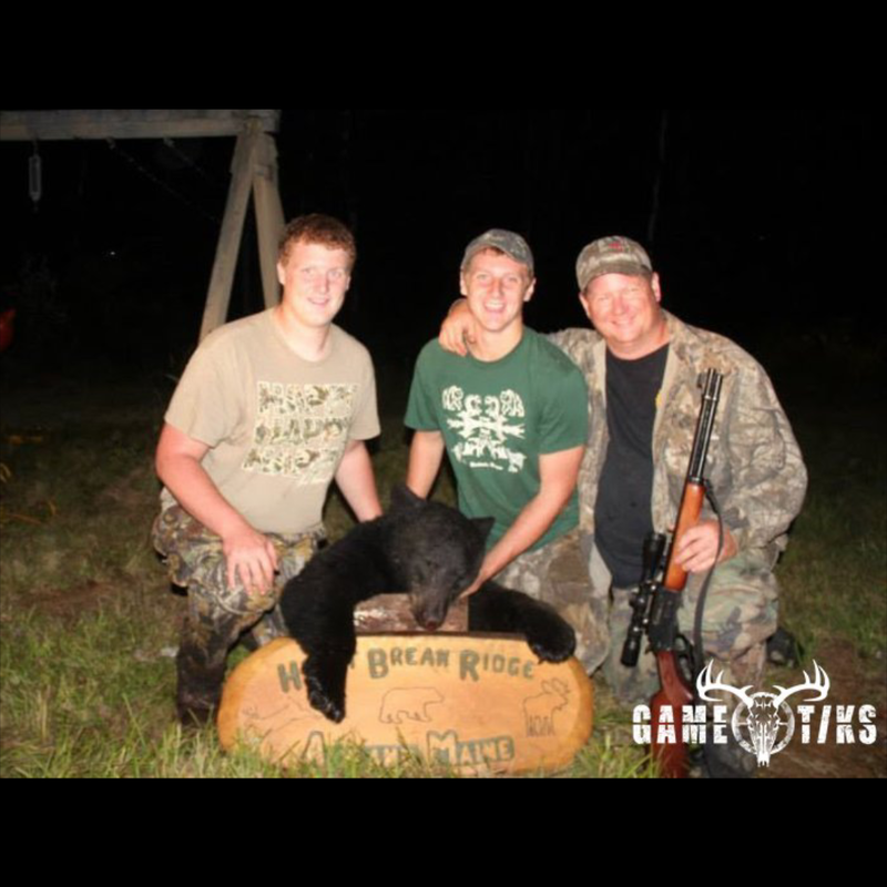bear harvest by Brody Gibbs