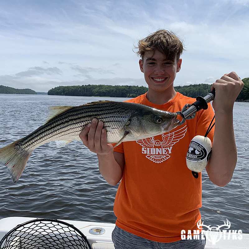 fish harvest by Maine Experience Guide Service