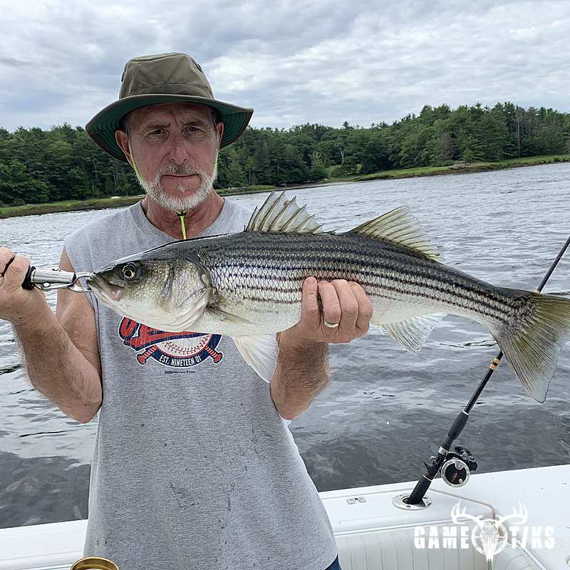 fish harvest by Maine Experience Guide Service
