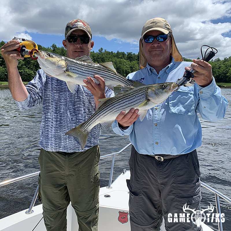 fish harvest by Maine Experience Guide Service