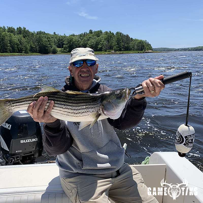fish harvest by Maine Experience Guide Service