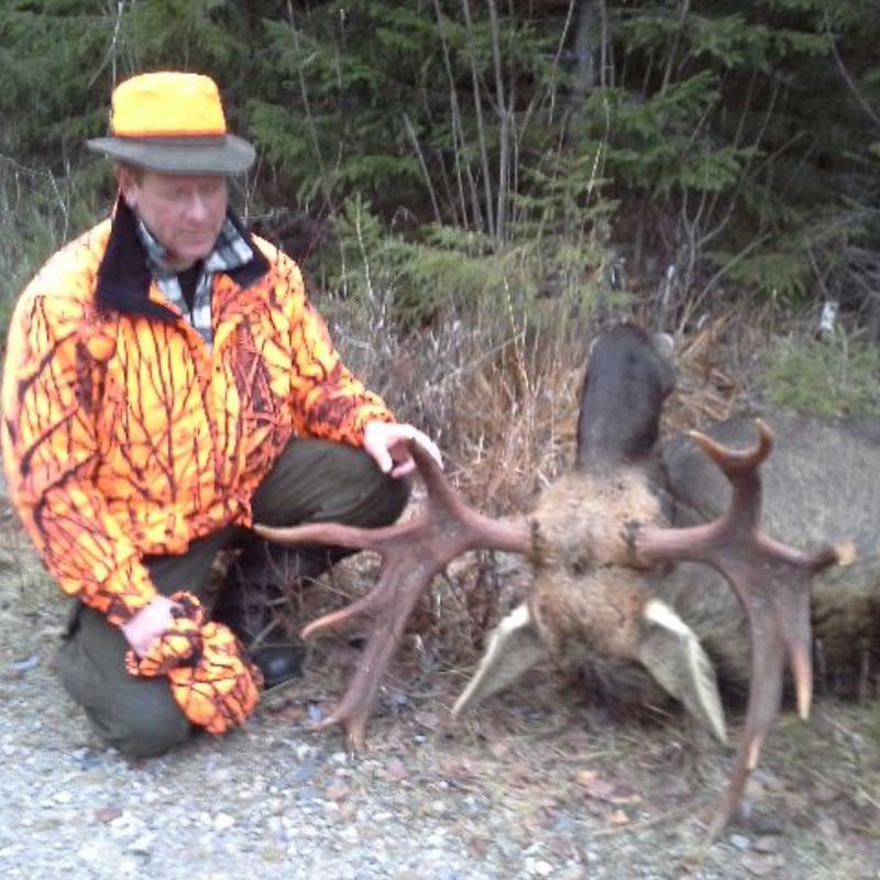 moose harvest by Isto Ojala