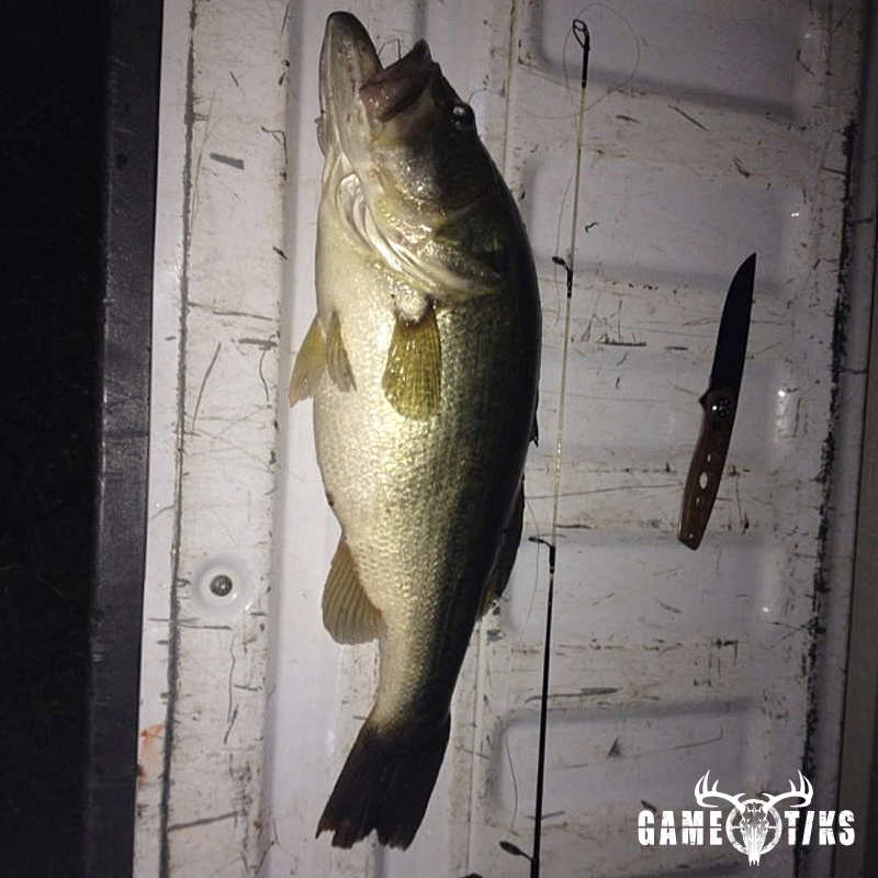 fish harvest by Scotty Limbaugh