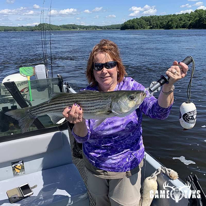 fish harvest by Maine Experience Guide Service