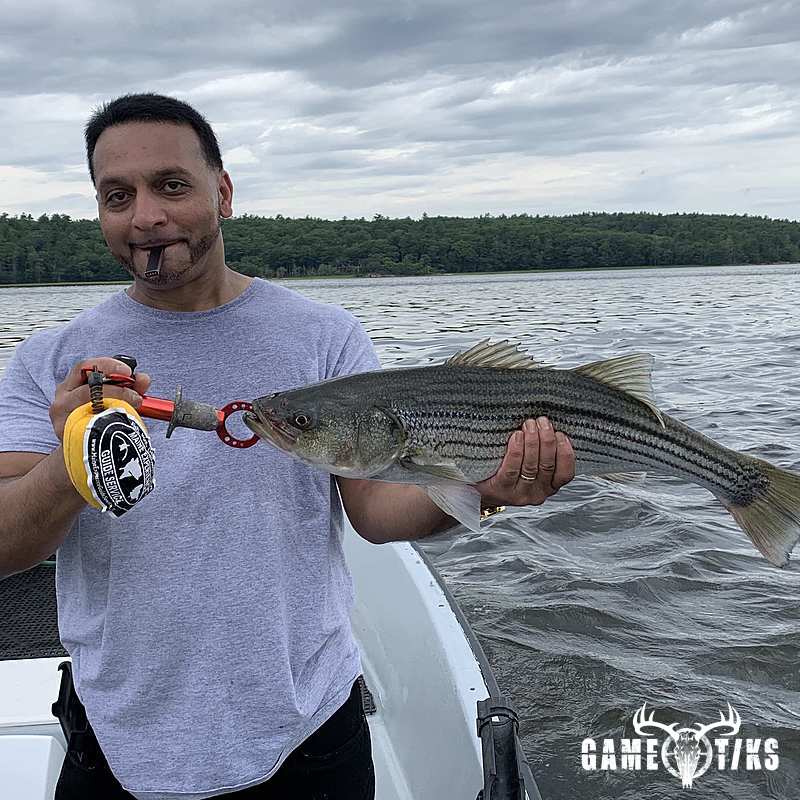 fish harvest by Maine Experience Guide Service