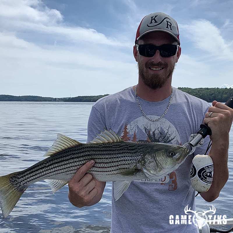 fish harvest by Maine Experience Guide Service