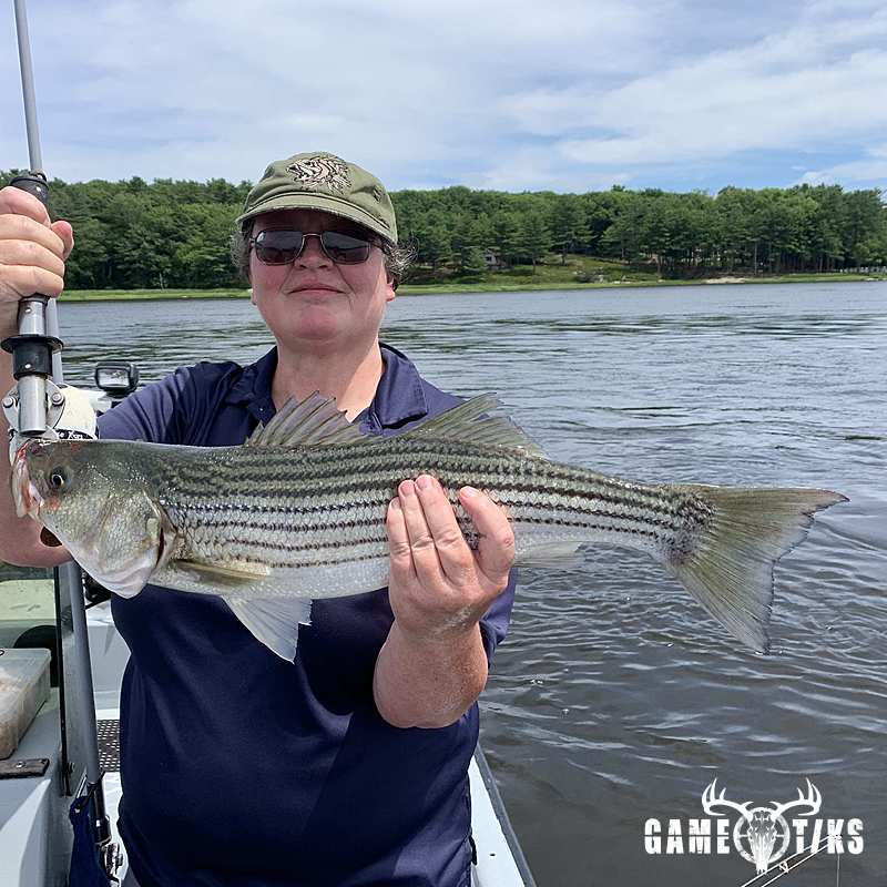 fish harvest by Maine Experience Guide Service