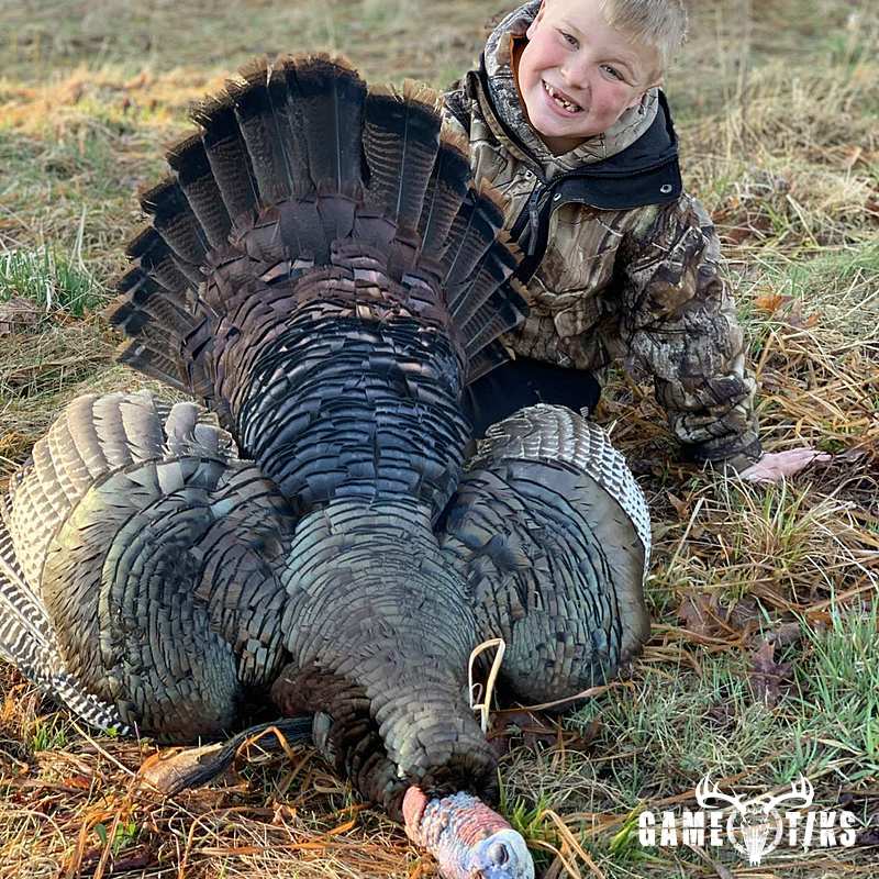 turkey harvest by Matt Laite