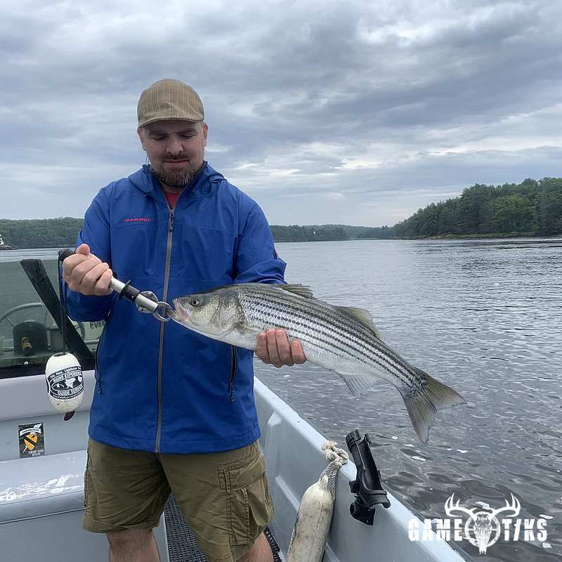 fish harvest by Maine Experience Guide Service