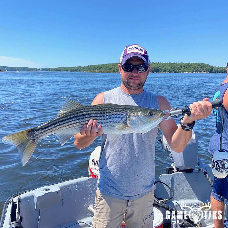 fish harvest by Maine Experience Guide Service
