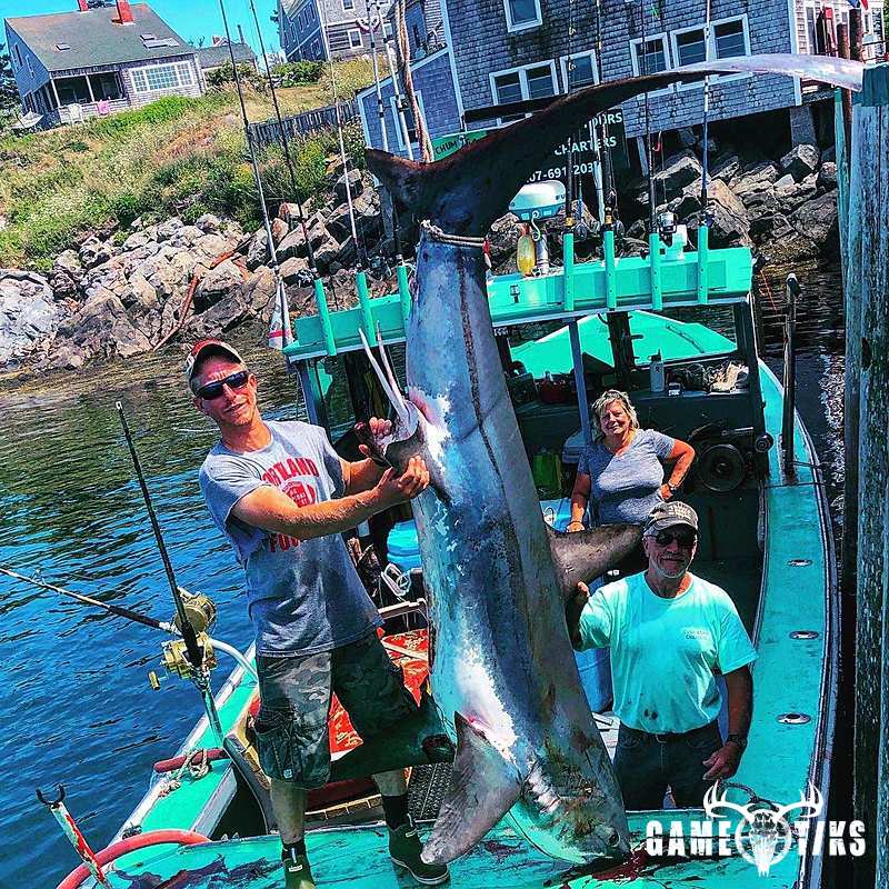 fish harvest by Chum Again Charters