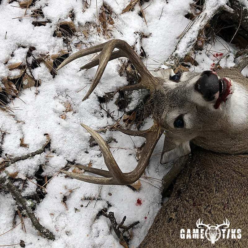 deer harvest by Kris Brill