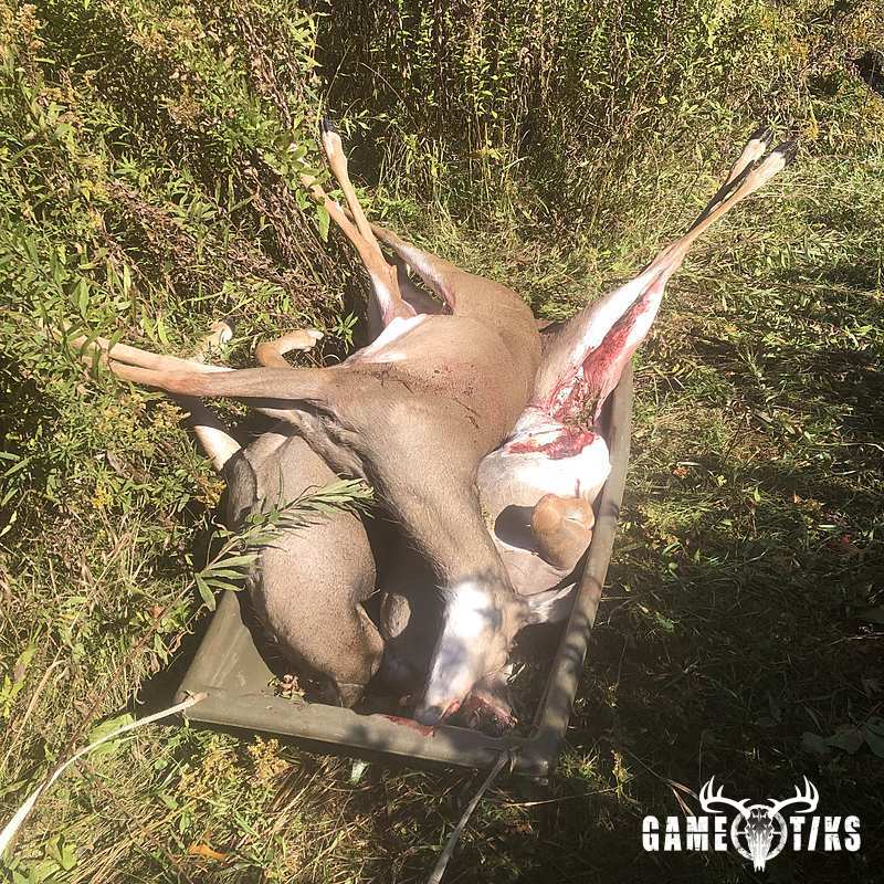 deer harvest by Kris Brill