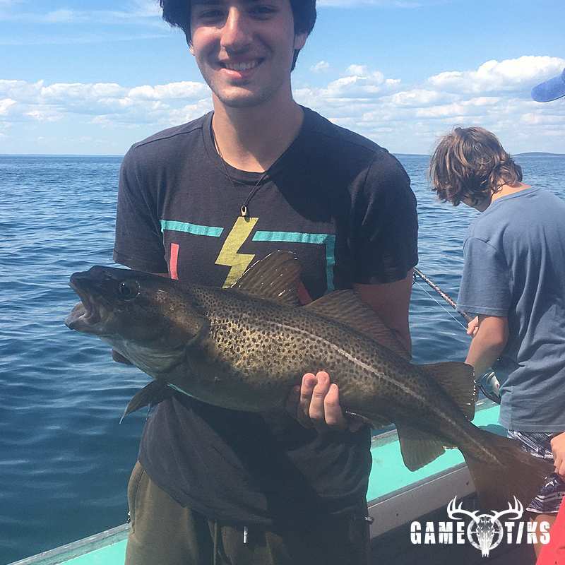 fish harvest by Chum Again Charters