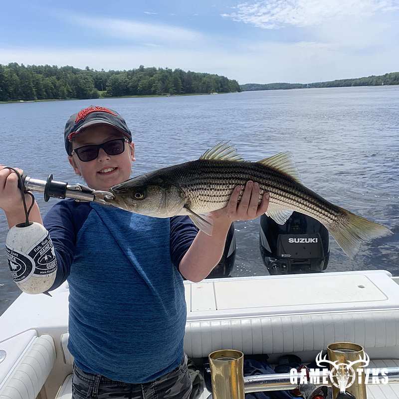fish harvest by Maine Experience Guide Service