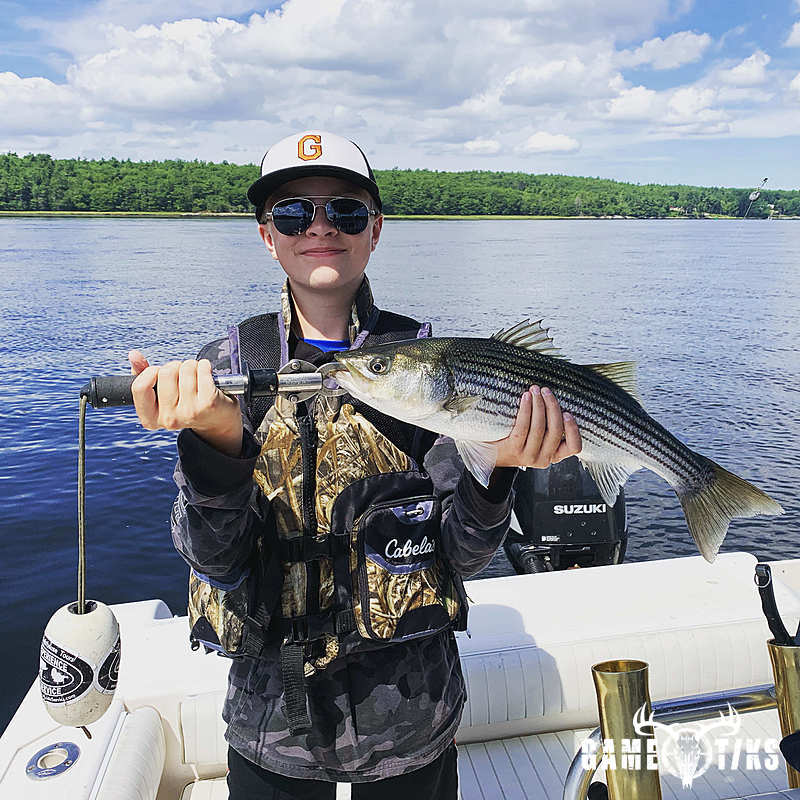 fish harvest by Maine Experience Guide Service