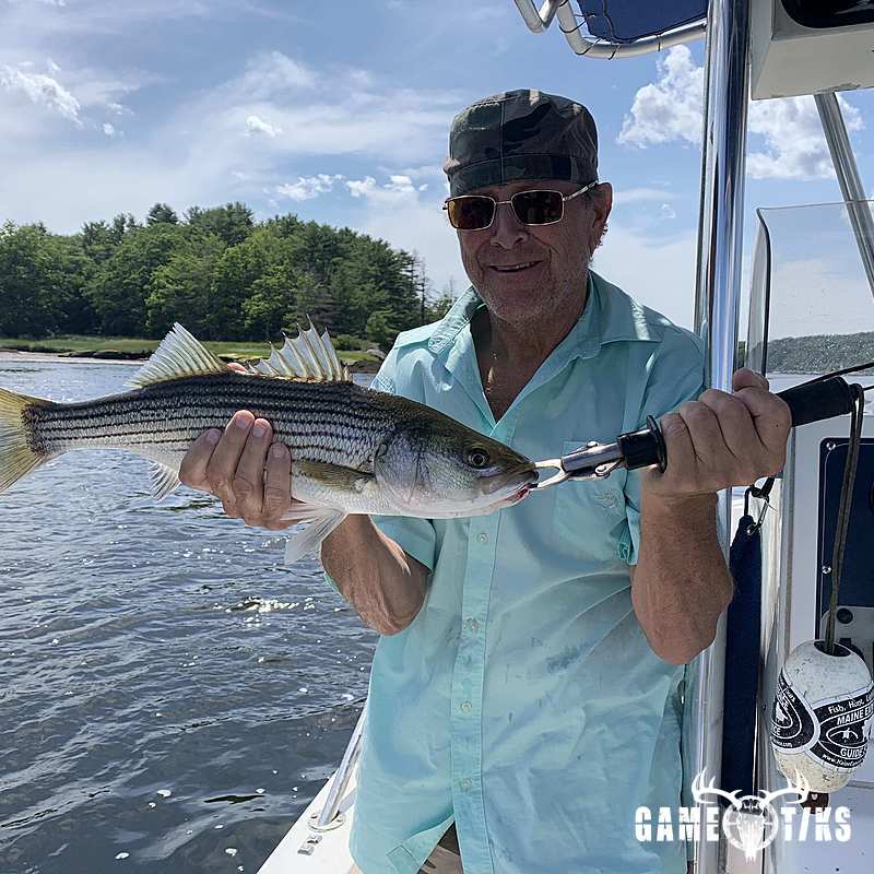 fish harvest by Maine Experience Guide Service