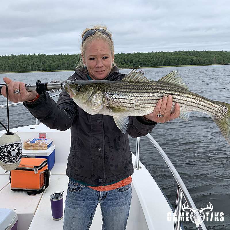 fish harvest by Maine Experience Guide Service