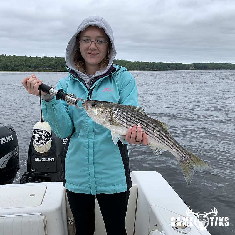 fish harvest by Maine Experience Guide Service