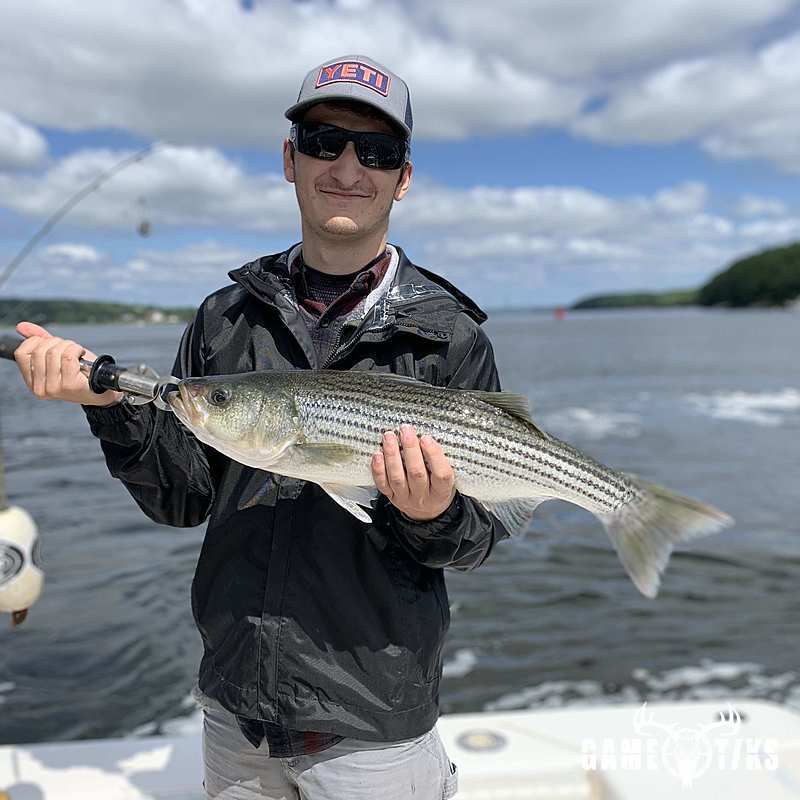 fish harvest by Maine Experience Guide Service