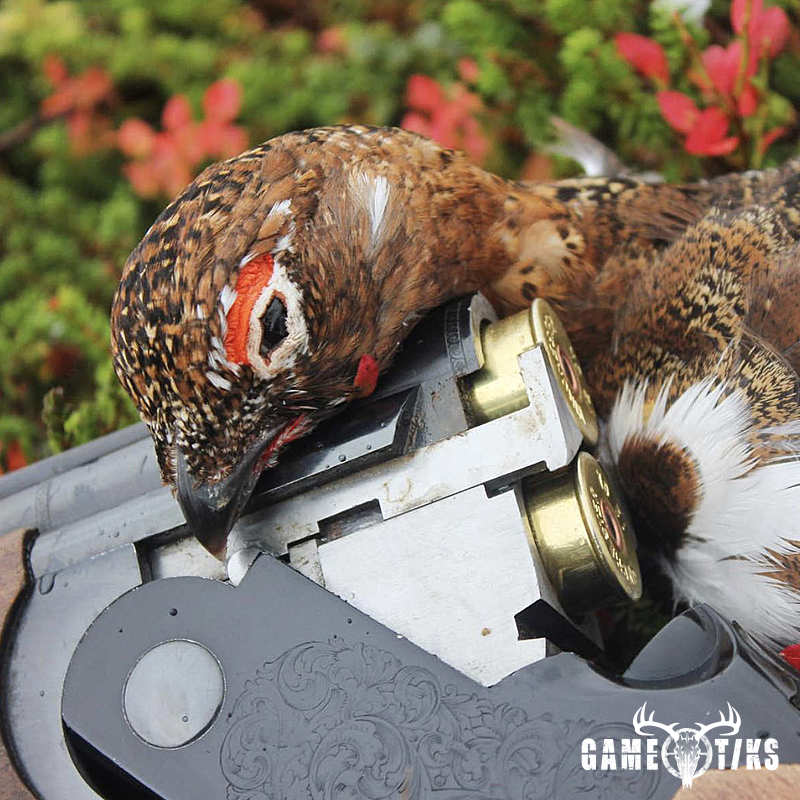upland_bird harvest by Iréne Kvalvik