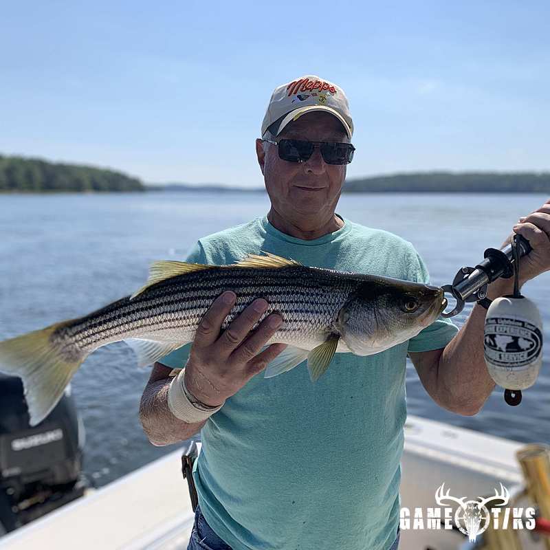 fish harvest by Maine Experience Guide Service