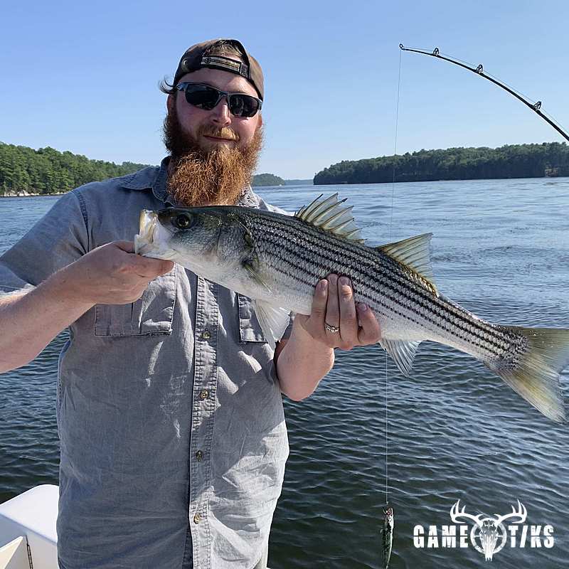 fish harvest by Maine Experience Guide Service